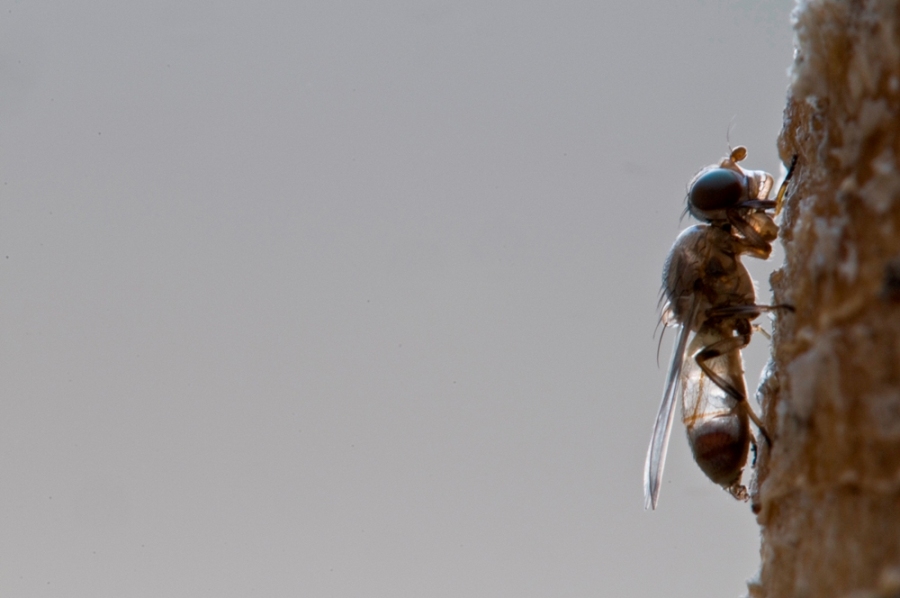 ...non so cos''�...